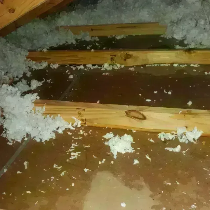 Attic Water Damage in Manchester, NH